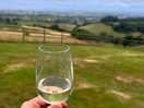 Wine tasting