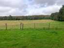 Field next to the site