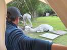 Alpacas by the tent