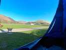 Views from tent
