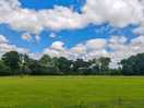 Main field.