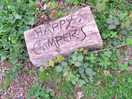 Happy campers