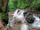 4 x falls
