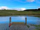 Beautiful small lake