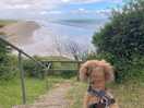 Coastal path close by