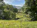 Views from the site