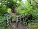 Easy access to river