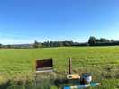 View from our pitch