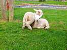 Our neighbours