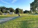 Playing frisbee - so much space to play around the pitches
