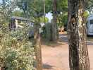The campsite