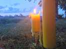 Citronella for the bugs.