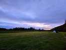 The field