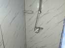 The shower