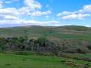 Around farm