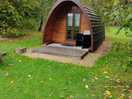 Beech pod.