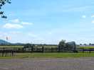 View across the fields