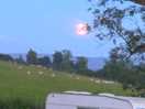 Beautiful moon low in sky
