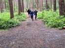 One of the trails close to the campsite