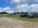 The site