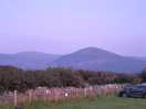 View from tent