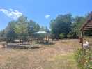 Camp