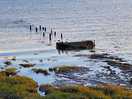 Humber estuary, look closely for the oystercatchers