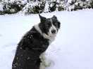 Bessie wasn’t sure of snow first time she has seen it