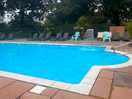 Lovely pool