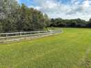 Long of nice walking areas for dogs