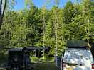 Campervan gravel pitch