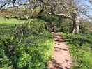South west coast path to shaldon not far away
