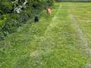 Dog walk and tent area