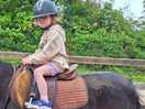 Pony treking