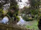 Peaceful lake on site