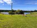 The site