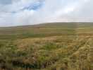 Views on the walks