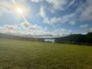 The view