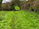 Walk in the country