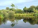 Lovely lake
