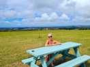 Very handy bench table.