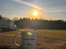 Morning sunshine