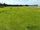 Site