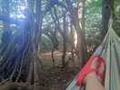 Lying in a hammock