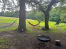Hammocks and fire pit