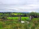 Nearby fields