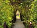 The nice tunnel