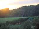 Sunset on site