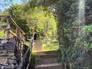 Der weg zu den pitches