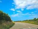 Sunny drive
